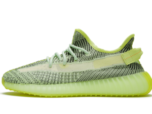 Adidas Yeezy Boost 350