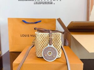 Louis Vuitton Bag 11