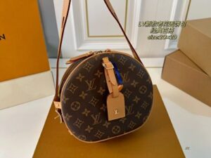 Louis Vuitton Bag 6