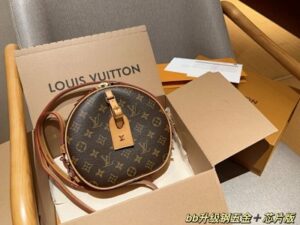 Louis Vuitton Bag 5