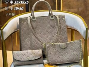 Louis Vuitton Fashion Bag 22