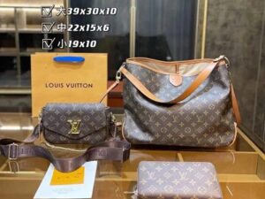 Louis Vuitton Fashion Bag 3