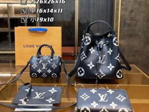 Louis Vuitton Fashion Bag 14