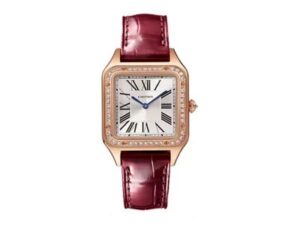 Cartier Watches 18