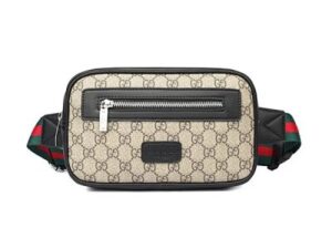 Luxury Gucci Handbag 5