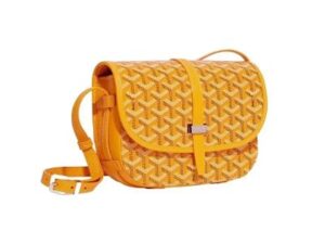 Luxury Goyard Wallet 6