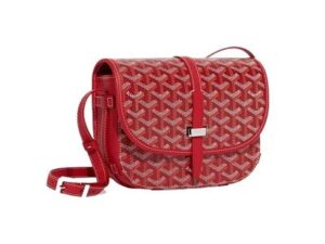 Luxury Goyard Wallet 7