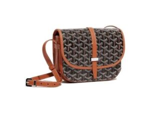 Luxury Goyard Wallet 14