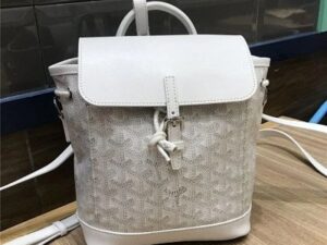 Luxury Goyard Wallet 3