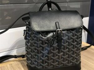 Luxury Goyard Wallet 19