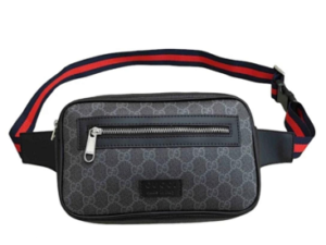 Luxury Gucci Handbag 1