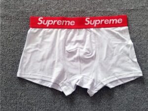 Supreme Premium Cotton Underwear 1