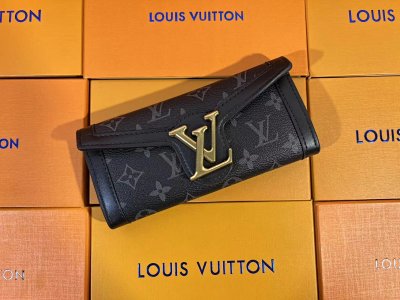 Louis Vuitton Fashion Wallet 5