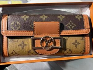 Louis Vuitton Fashion Wallet 18