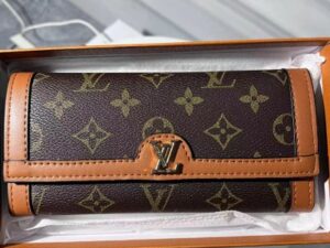Louis Vuitton Fashion Wallet 14