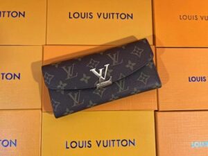 Louis Vuitton Fashion Wallet 2