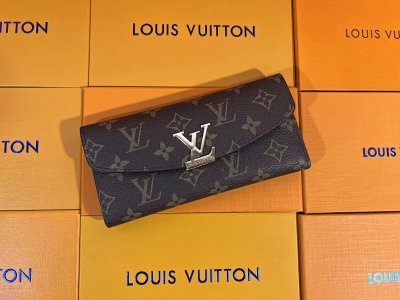 Louis Vuitton Fashion Wallet 2