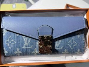 Louis Vuitton Fashion Wallet 10