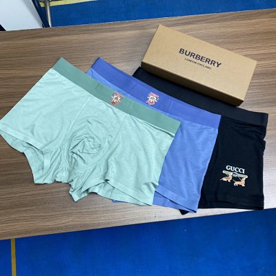 Burberry Cotton Underwear 10