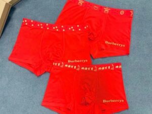 Burberry Cotton Underwear 6