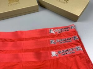 Burberry Cotton Underwear 2