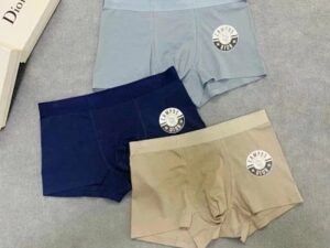 Dior Premium Cotton Men's Underwear 15