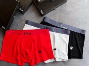 Dior Premium Cotton Men's Underwear 22