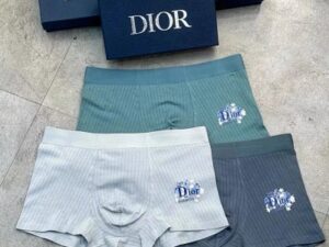 Dior Premium Cotton Men's Underwear 14