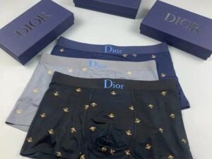 Dior Premium Cotton Men's Underwear 3