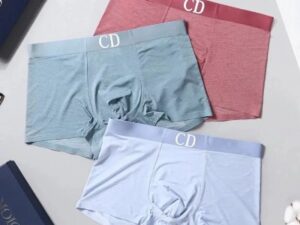 Dior Premium Cotton Men's Underwear 25