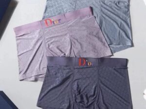 Dior Premium Cotton Men's Underwear 19