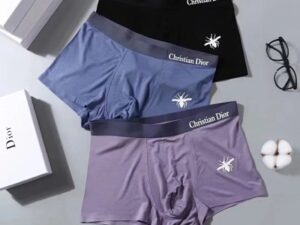 Dior Premium Cotton Men's Underwear 13