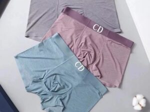 Dior Premium Cotton Men's Underwear 28