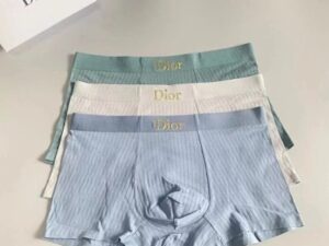 Dior Premium Cotton Men's Underwear 5