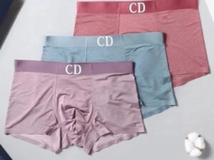 Dior Premium Cotton Men's Underwear 26