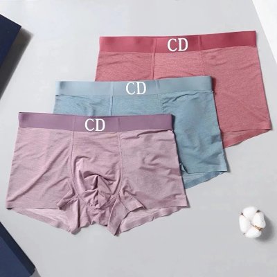 Dior Premium Cotton Men's Underwear 26