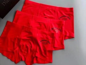 Dior Premium Cotton Men's Underwear 4