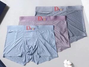 Dior Premium Cotton Men's Underwear 18