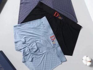 Dior Premium Cotton Men's Underwear 21