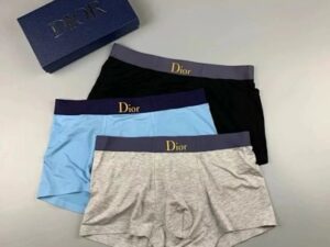 Dior Premium Cotton Men's Underwear 8
