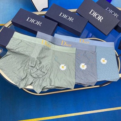 Dior Premium Cotton Men's Underwear 23