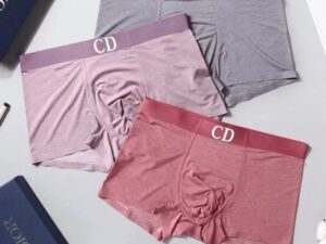 Dior Premium Cotton Men's Underwear 27