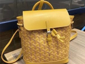 Goyard Wallet Bagpack