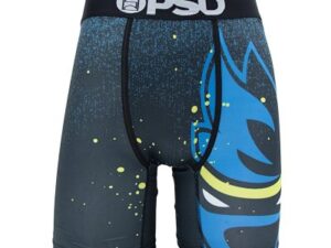 PSD Streetwear Shorts 30